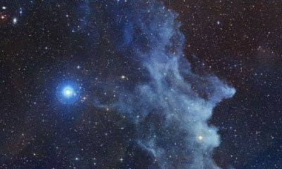 金牛座是学霸还是学渣还是学神（语文最厉害的星座女）