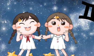 世界上双子座（双子座有几个星座）