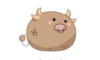 金牛座相处方式（如何跟金牛座的人沟通）