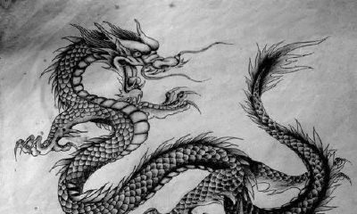 粟字取名的寓意（属龙的七月份运势如何）