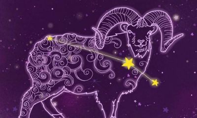 白羊女喜欢的外貌类型（白羊座喜欢什么样的女孩子）