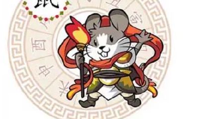 属鼠的人都是几几年（属鼠的人今年运程怎么样）