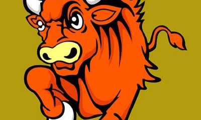 属牛1997年出生的命运（1997年属牛的婚姻）