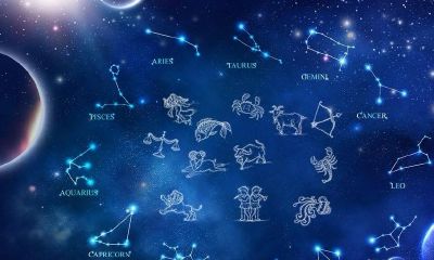 12星座有哪几个星座（12星座谁最丑）