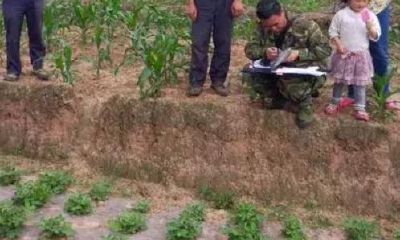 五行属土的工作（八字五行属土）