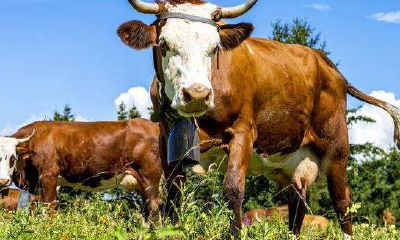 2023年遇到正缘生肖（属龙女的正缘在哪一年）