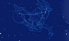 摩羯座的人才（摩羯座的成功人士）