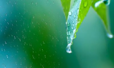 做梦梦见下大雨是什么意思（梦见下大雨是什么预兆）