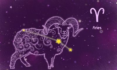 十二星座爱情图（星座姻缘配对图）