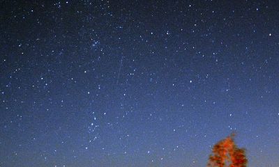 属马水瓶座的性格（属马水瓶座女长相）