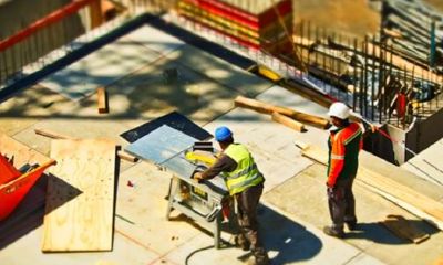 五行属土的都有哪些（五行属土的属相有哪些）