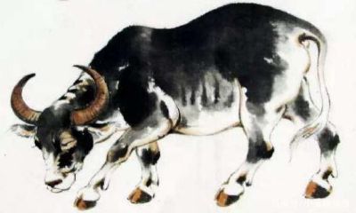 属蛇女人对感情的态度怎样（属蛇的男人感情弱点）