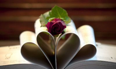 天蝎座不爱你了（天蝎座不爱了会怎样）