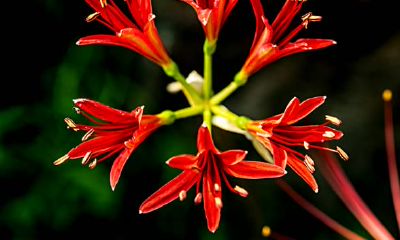 可以转运的字（走背字带什么可以转运）