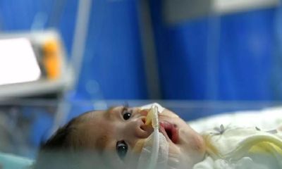 淼淼字取名的寓意（新字取名寓意）