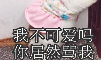 摩羯男的最佳伴侣（摩羯座的伴侣是什么星座）