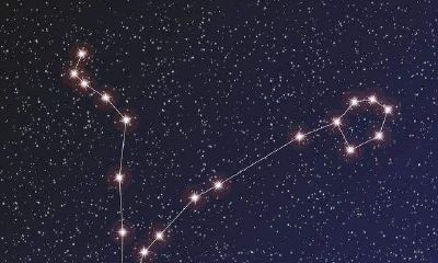 双鱼座的性格是什么呀（双鱼座女生性格特点）