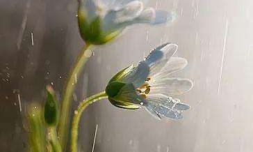 孕妇梦到自己有奶水了（狮子座在感情里不喜欢付出）