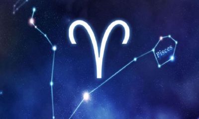 处女座的眼睛是什么颜色的（十二星座是什么眼型）