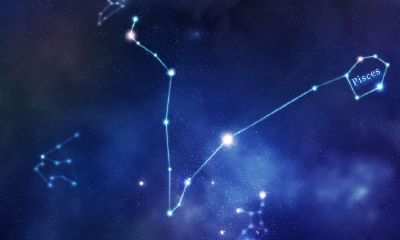 天蝎座什么能力最强（为什么说远离天蝎女）