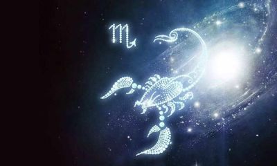 摩羯座是第几个聪明的星座（摩羯座什么血型最聪明）