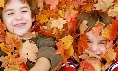 刘姓氏取名大全男（塔罗牌占卜健康牌阵出现恶魔）