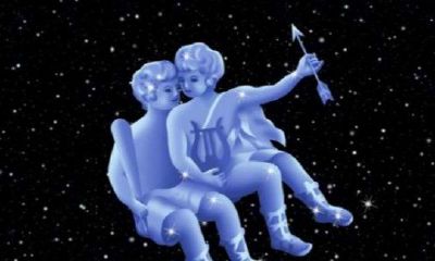 双子座的人物脉络（双子座的代表人物是谁）