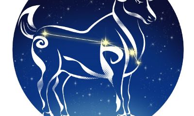 你了解白羊座的在乎吗（白羊男会随便关心人吗）