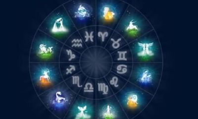 十二星座看的是新历还是农历（12月是什么星座）