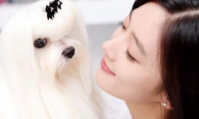 双子座为什么招黑（双子座拉黑一个人）