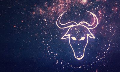 金牛座的幸运日和倒霉日和幸运颜色和倒霉颜色（金牛座几岁能变成学霸）