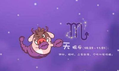 纯银星座项链（十二星座项链）