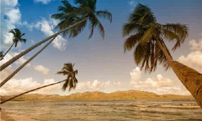 双鱼座的床有多漂亮（双鱼座最美的部位）