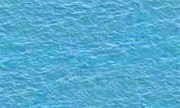 属鸡人52岁运程（1969年属鸡的每月运势）