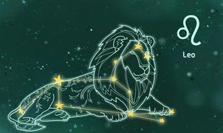 狮子座×处女座（身边有大哥保护的星座女）