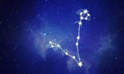 双鱼座很理性么（双鱼座理性还是感性）