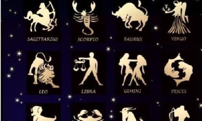 白羊座占星学价格（白羊座占星学）