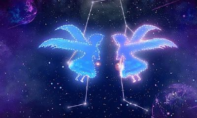 处女座最喜欢什么样的追求方式（处座男最爱的星座女）