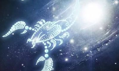 双鱼座极其聪明（双鱼座的人聪明不聪明）