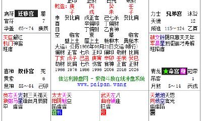 怎么看自己的紫微命盘（紫微命盘两人配对）