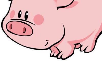 属猪人姻缘最好的生肖（属鼠的人和什么属相合）