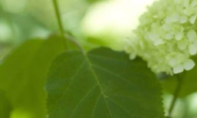 这么看手相男（看手相男的看哪个手）