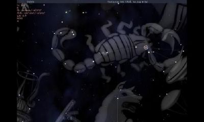 天蝎座的缺点是什么女（天蝎座女生的性格弱点和优点）