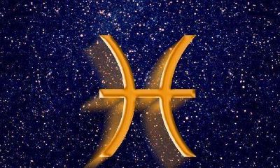 双鱼座标志意义（双鱼座的意义是什么）