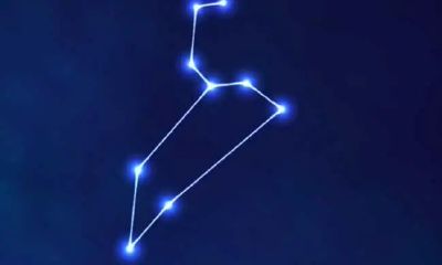 处女座喜欢什么样的女生性格（射手座恋爱是什么样子）