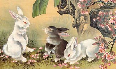 属兔人出生年月日（属兔人出生月的命运详解）