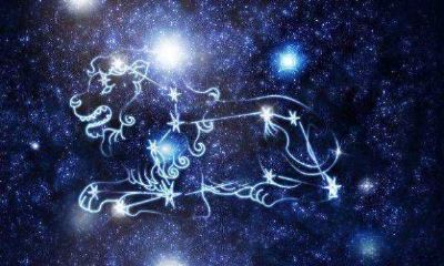 欺负狮子座为什么可怕（狮子座是帝王最多的星座）