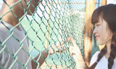 属猪的人最佳婚配（属猪属相婚配表大全）