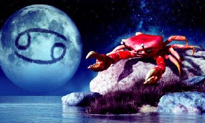 今日运势星座网（各星座今日运势）