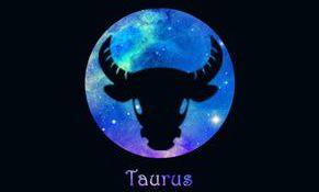 婚后对老婆刻薄星座男（婚后最负责任的星座男）